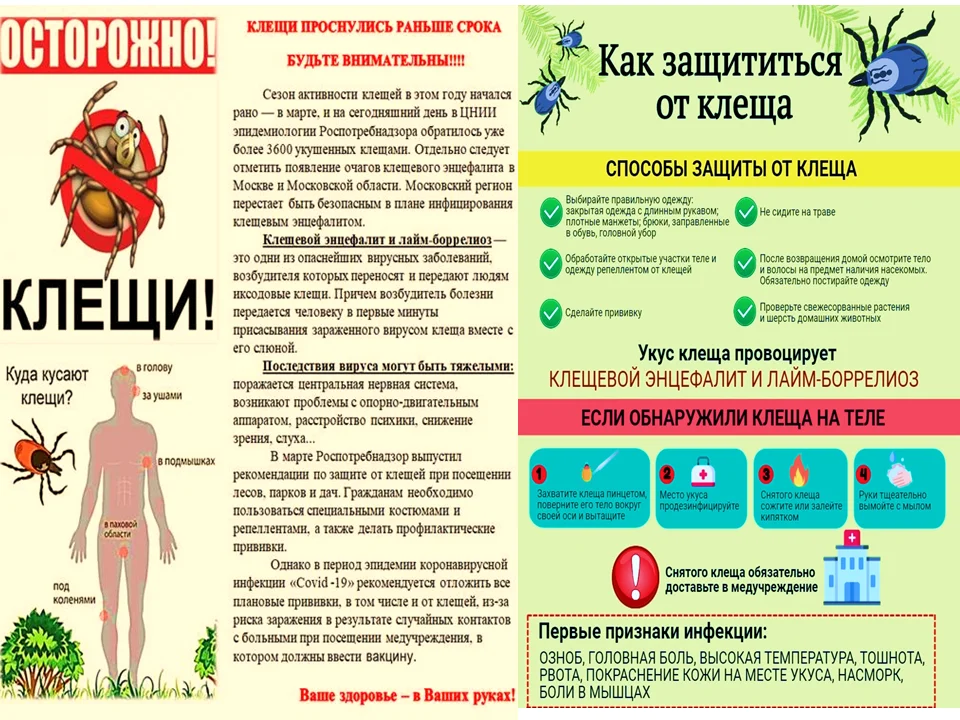 Приходит время активности клещей. Будьте внимательны и осторожны!