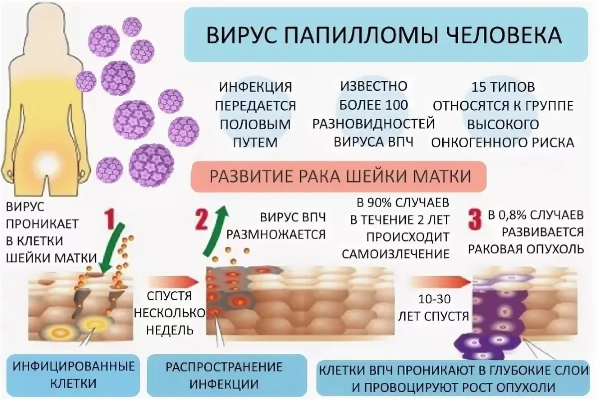 Организовано ВПЧ – тестирование.