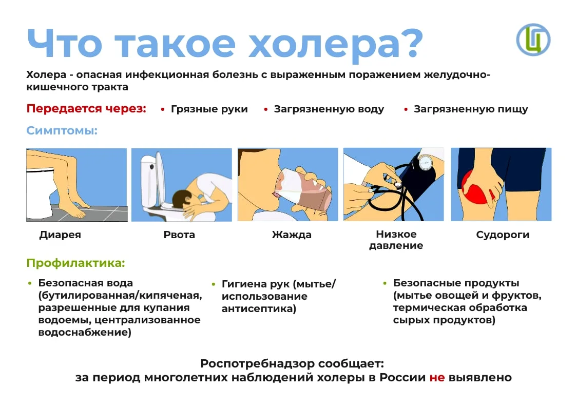 Что такое Холера