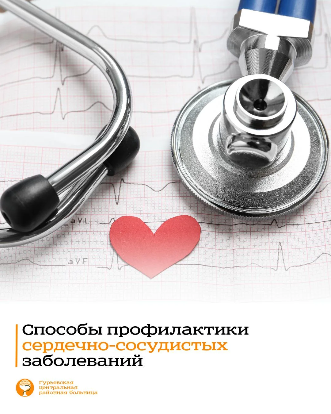 Сердечно-сосудистые заболевания являются основной причиной смерти во всём мире. 
