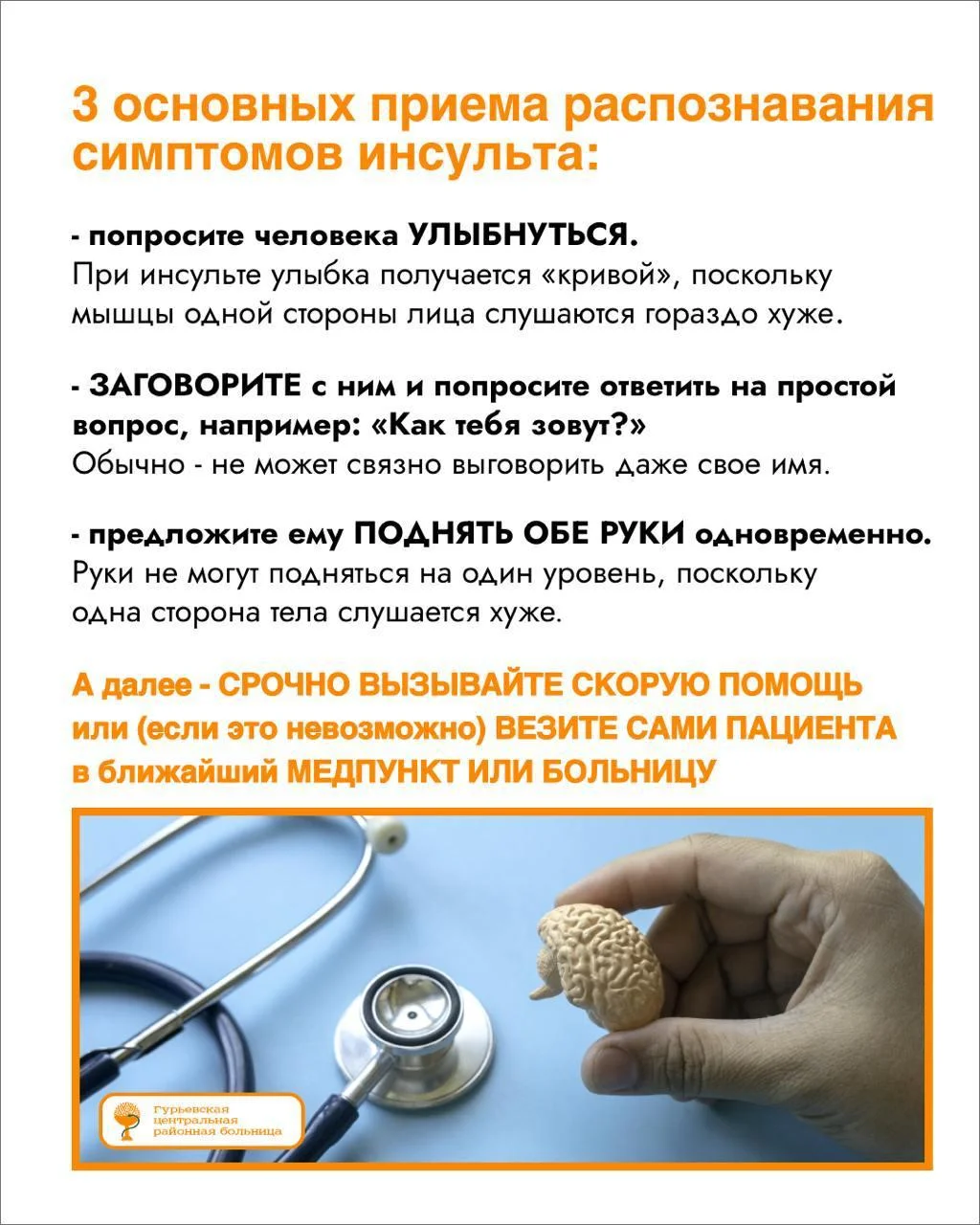 Заболевания системы кровообращения занимают лидирующую позицию среди причин смерти во всем мире.