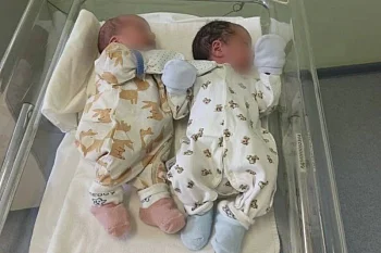 В 2026 году в Калининградской области появились пять пар двоен, три из них - королевские В 2026 году в Калининградской области появились пять пар двоен, три из них - королевские