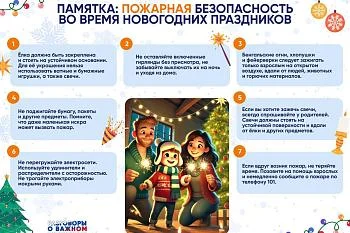 Проведите этот Новый год безопасно!!!