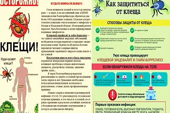 Приходит время активности клещей. Будьте внимательны и осторожны!