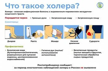 Что такое Холера
