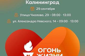Всероссийская эстафета факела «Огонь жизни» пройдет в Калининграде Всероссийская эстафета факела «Огонь жизни» пройдет в Калининграде